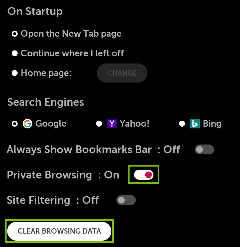 Paramètres avec la navigation privée activée et Effacer les données de navigation en surbrillance.